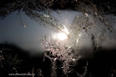 A jégvirágokon túl a felkelő Nap