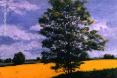 Fiatal akácok tavasza 1997. 50×60cm, olaj, farost