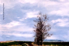 A karcagi határban 1998. 40×50cm, olaj, farost