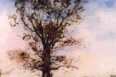 Magányos fa 1998. 41×60cm, olaj, farost
