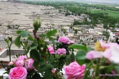 27. Illatos rózsák a tixei kolostorban